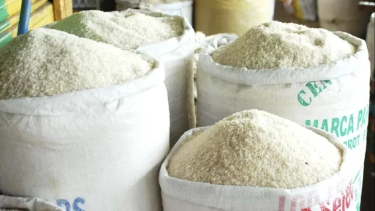 Crisis en la producción de arroz: «En 2025 será un lujo comer arroz con huevo»
