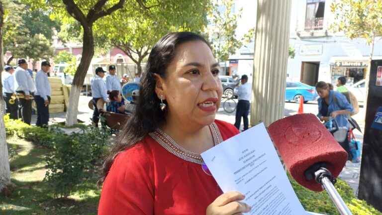 Rosa Valencia solicita medidas de seguridad en el viaducto de El Campesino tras incidentes