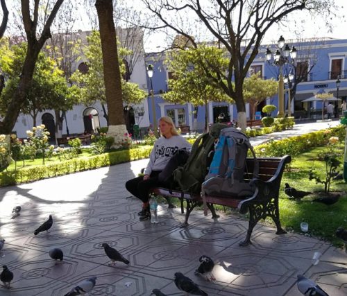 Cámara Hotelera de Tarija En Estado de Emergencia Ante la Caída del Flujo Turístico y la Competencia Desleal del Sector Informal
