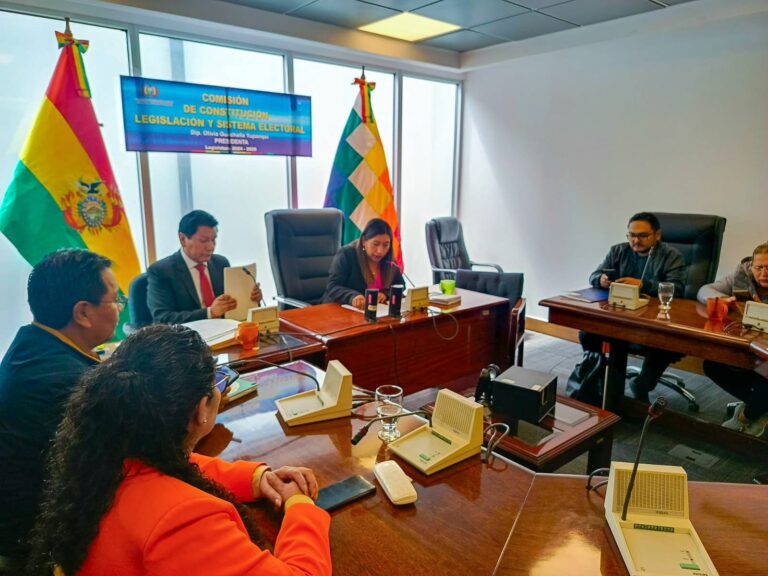 Diputada Guachalla: Nuestra prioridad es tratar la ley complementaria para las judiciales