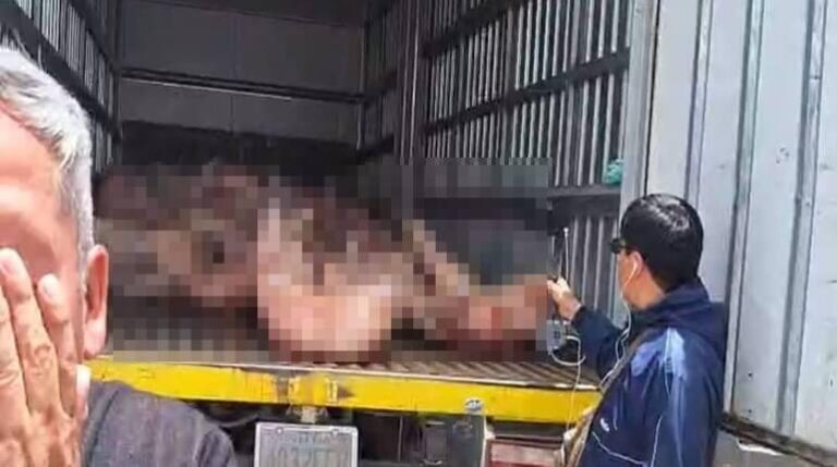 Decomisan 5.000 kilos de carne de cerdo que intentaban contrabandear hacia Perú por el lago Titicaca