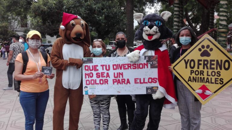 Impulsan proyecto de ley para prohibir el uso de pirotecnia en Tarija