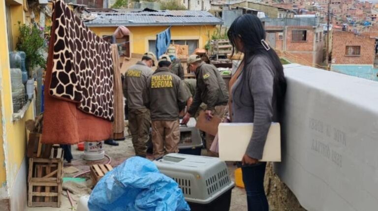 Investigan Caso de Biocidio tras Hallazgo de Gatos Muertos en La Paz