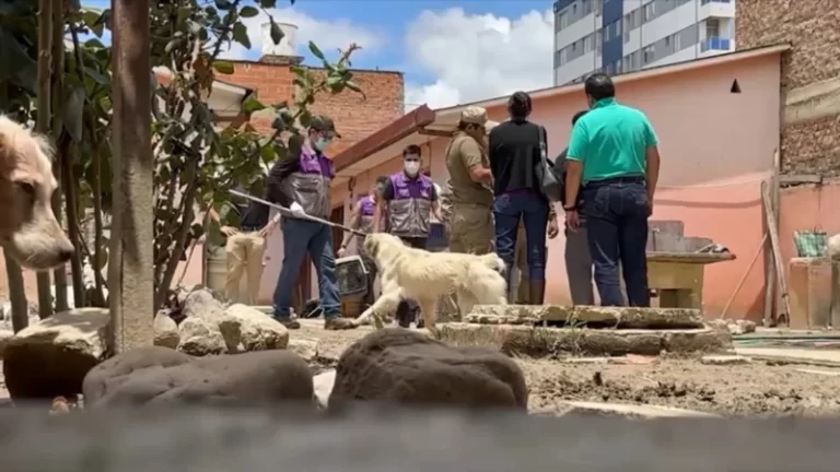 Tragedia en la vivienda de una mujer de 90 años: atacada por sus perros