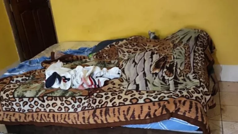 Capturan en Coroico al presunto autor del primer feminicidio de 2025 en La Paz