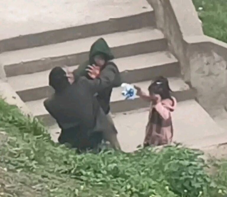 Padres aprehendidos en La Paz por protagonizar pelea en presencia de su hija de 4 años