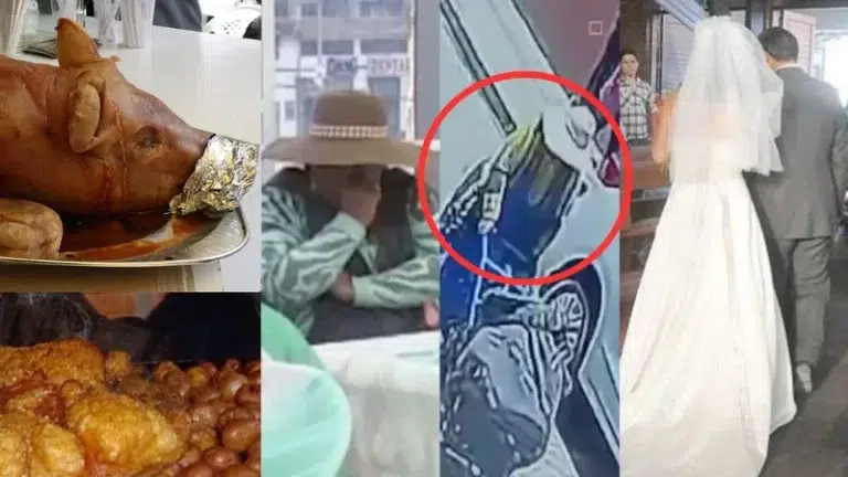 ¡Insólito! Se hizo pasar por invitada de una boda y robó el lechón entero