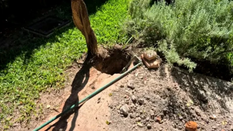 Joven denuncia robo millonario tras enterrar joyas de herencia en su jardín